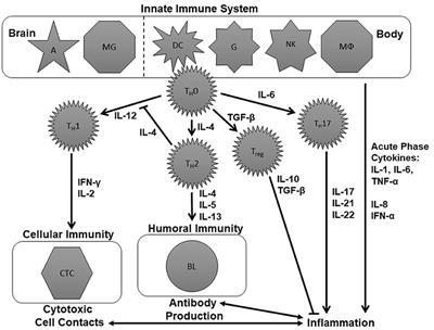 Cytokine Research in Depression: Principles, Challenges, and Open Questions